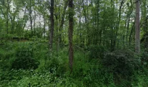 ARTIZOME à La Sauzière-Saint-Jean
