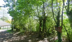 Alpes Eco Bois à Gap