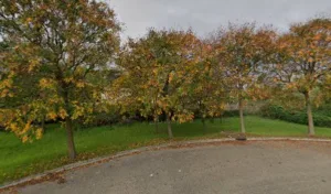 Ateliers Charpentes Nicolas à Saint-Hilaire-de-Brethmas