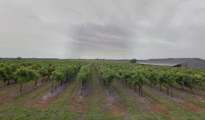 M Et S Mondy Sarl à Saint-Bonnet