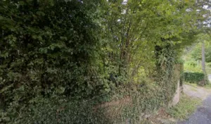 Charpente HD à Entraygues-sur-Truyère