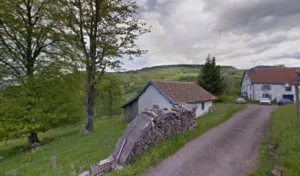 Précilevage à Fresse-sur-Moselle