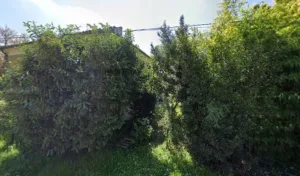 SARL SAFFORES à Saint-Sixte