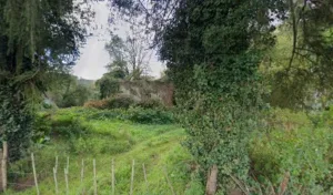 Aquitaine Bois Charpente à Château-l'Évêque