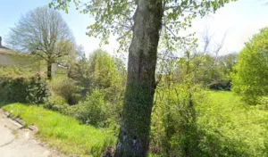 Peyrefiche Sarl à Savignac-de-Duras