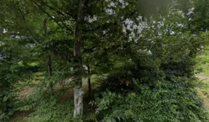 Etablissements Pinardon à Nouzilly