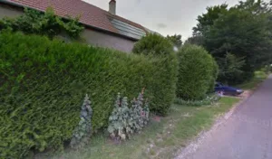 Braun Peter à Sens-Beaujeu