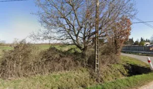 Martin et fils Charpentier Couvreur Maison ossature Bois Plaquiste à Carbonne
