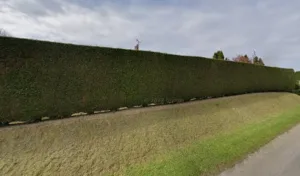 Quesney Fils Yves à Bosc-Hyons