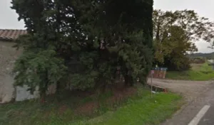 Capgrand Rémy à Sérignac-sur-Garonne