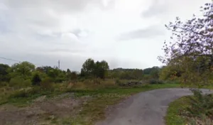 Padouk à Plancherine
