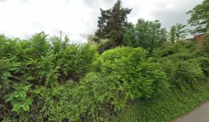 Desorme à Saint-Martin-la-Plaine