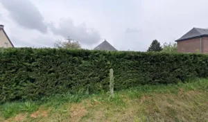 VSERVICE à Ernemont-sur-Buchy