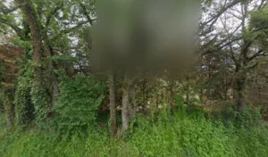 Sarl Fournié Guy et Fils à Saint-Lieux-lès-Lavaur